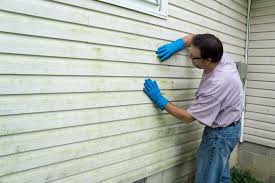 Affordable Siding Repair and Maintenance Services in Capac, MI